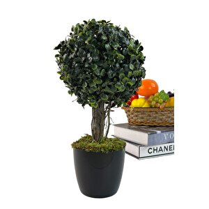 Yapay Ağaç Şimşir Top Tek Toplu 18x35cm Siyah Saksılı