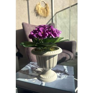 Yapay Çiçek Krem Antik Saksıda Mor Kadife Menekşe Gerçekçi Doku 22cm