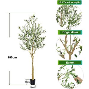 Yapay Zeytin Ağacı Lüx 180cm Doğal Gövdeli Gerçek Görünümlü Yapay Ağaç