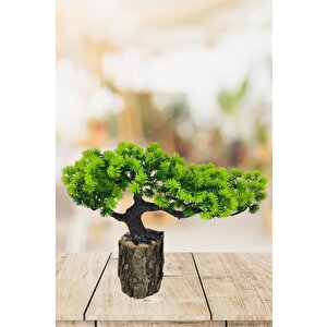 Yapay Çiçek Bonsai Ağacı Kütük Saksıda Yatık Akasya  Dekoratif Yapay Ağaç Bonzai 30*20 Cm