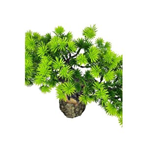 Yapay Çiçek Bonsai Ağacı Kütük Saksıda Yatık Akasya  Dekoratif Yapay Ağaç Bonzai 30*20 Cm