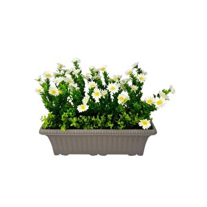 Yapay Çiçek Papatya Mokka Küpeşte Askılı Saksıda Balkon Çiçeği