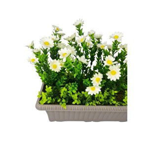 Yapay Çiçek Papatya Mokka Küpeşte Askılı Saksıda Balkon Çiçeği