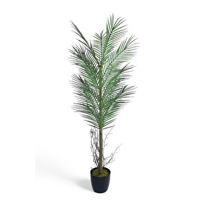 Yapay Ağaç Palmiye 135*50cm 20yaprak Areka Ağacı Siyah Saksıda Tek Gövdeli