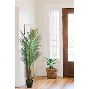 Yapay Ağaç Palmiye 135*50cm 20yaprak Areka Ağacı Siyah Saksıda Tek Gövdeli
