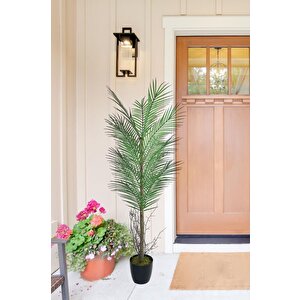 Yapay Ağaç Palmiye 135*50cm 20yaprak Areka Ağacı Siyah Saksıda Tek Gövdeli