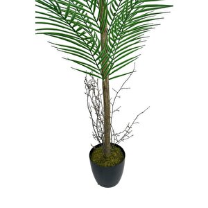 Yapay Ağaç Palmiye 135*50cm 20yaprak Areka Ağacı Siyah Saksıda Tek Gövdeli