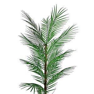 Yapay Ağaç Palmiye 135*50cm 20yaprak Areka Ağacı Siyah Saksıda Tek Gövdeli