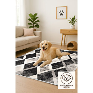 Siyah, Gri Ve Krem Renkli Halı, Geometrik Desenli, Yıkanabilir Ve Evcil Hayvan Dostu