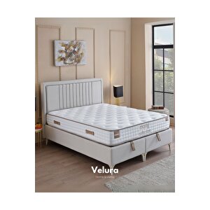 Dreamwell Tek Kişilik Yatak Baza Başlık Seti (100 X 200) Krem