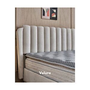 Viscopratic Ped Tek Kişilik Yatak Baza Başlık Seti (150 X 200) Krem