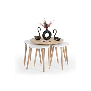 Orta Sehpa / Sehpa Seti / Sehpa Takımı / 5 Parça / Flora Pissa (meşe-beyaz)