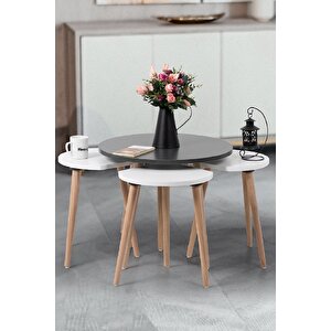 Pi̇ssa / Orta Sehpa / Sehpa Seti / Sehpa Takımı / 5 Parçalı Sehpa Seti