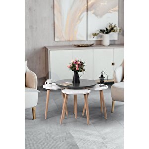 Pi̇ssa / Orta Sehpa / Sehpa Seti / Sehpa Takımı / 5 Parçalı Sehpa Seti