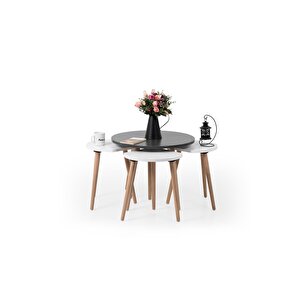 Pi̇ssa / Orta Sehpa / Sehpa Seti / Sehpa Takımı / 5 Parçalı Sehpa Seti