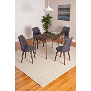 4 Kişilik Sabit Masa Sandalye Takımı 70x110 Cm Mutfak Masası Takımı Yemek Masası Masa Takımı Gri