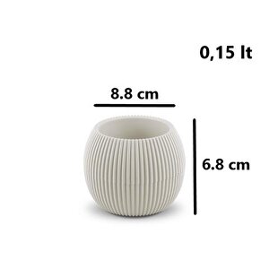 Omnipazar Krs Mercan Dekoratif Sukulent Kaktüs Plastik Saksı Takımı 3'lü Set Bej