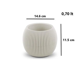 Omnipazar Krs Mercan Dekoratif Sukulent Kaktüs Plastik Saksı Takımı 3'lü Set Bej