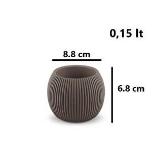 Omnipazar Krs Mercan Dekoratif Sukulent Kaktüs Plastik Saksı Takımı 3'lü Set Kahverengi