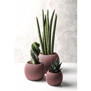 Krs Mercan Dekoratif Kaktüs Sukulent Plastik Saksı Takımı 3'lü Set Soft Pembe