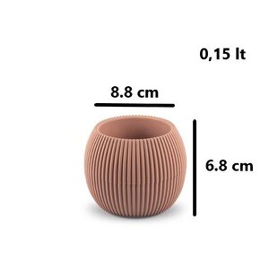 Omnipazar Krs Mercan Dekoratif Kaktüs Sukulent Plastik Saksı Takımı 3'lü Set Soft Pembe