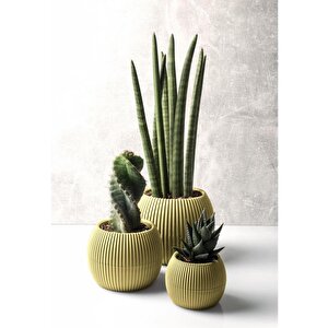 Krs Mercan Dekoratif Sukulent Kaktüs Plastik Saksı Takımı 3'lü Set Soft Sarı