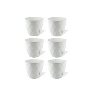 Krs-450 Yakamoz Tabaklı Plastik Saksı Takımı 0.3 Lt Beyaz 6 Adet