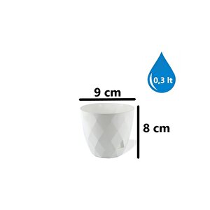 Krs-450 Yakamoz Tabaklı Plastik Saksı Takımı 0.3 Lt Beyaz 6 Adet