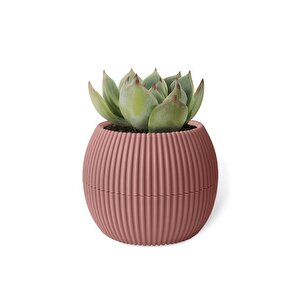 Omnipazar Krs-363 Plastik Mercan Kaktüs Saksı 0.7 Litre Soft Pembe 6 Adet