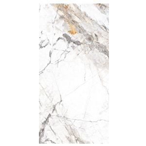 60x120 İnvisible Marble Gri Parlak End.