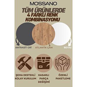 Vesso Tek Kapaklı Dolap Çok Amaçlı Dolap Banyo Dolabı Mutfak Dolabı Kiler Dolabı Raflı Dolap Atlantik Çam