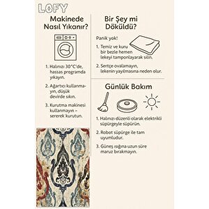 Oriental Desenli Halı – Lacivert, Kırmızı, Bej Ve Mavi – Etkileyici Klasik Dokunuş, Makinede Yıkanabilir, Kaymaz Taban, Evcil Hayvan Dostu