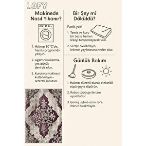 Klasik Motifli Modern Halı – Mor Ve Krem Tonlar – Gösterişli Desen, Makinede Yıkanabilir, Kaymaz Taban, Toz Tutmaz, Evcil Hayvan Dostu