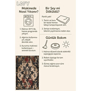 Halı – Siyah; Krem; Kahverengi; Kırmızı – Damask Desen, Pamuk Dokuma Taban, Makinede Yıkanabilir, Kolay Temizlenebilir, Toz Ve Tüy Tutmaz, Kaymaz, Evcil Hayvan Dostu