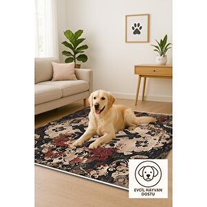 Halı – Siyah; Krem; Kahverengi; Kırmızı – Damask Desen, Pamuk Dokuma Taban, Makinede Yıkanabilir, Kolay Temizlenebilir, Toz Ve Tüy Tutmaz, Kaymaz, Evcil Hayvan Dostu
