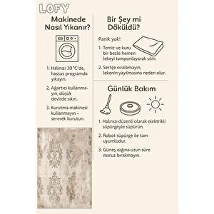 Klasik Damask Desenli Halı – Bej Ve Krem – Zamansız Şıklık, Yıkanabilir, Kaymaz Taban, Kolay Temizlenebilir, İnce Katlanabilir Yapı, Evcil Hayvan Dostu