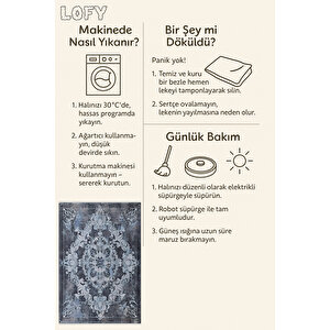Lacivert Ve Buz Mavisi Renkli Halı, Damask Desenli, Yıkanabilir Ve Evcil Hayvan Dostu