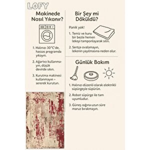 Halı – Kırmızı, Bej Ve Kahverengi – Soyut Desen, Pamuk Dokuma Taban, Makinede Yıkanabilir, Kolay Temizlenebilir, Toz Ve Tüy Tutmaz, Kaymaz, Evcil Hayvan Dostu