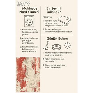 Halı – Kırmızı, Bej Ve Gri – Soyut Desen, Pamuk Dokuma Taban, Makinede Yıkanabilir, Kolay Temizlenebilir, Toz Ve Tüy Tutmaz, Kaymaz, Evcil Hayvan Dostu