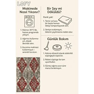 Soyut Desenli Halı – Kırmızı, Gri Ve Bej Tonlar – Geleneksel Formda Modern Yorum, Makinede Yıkanabilir, Toz Tutmaz, Kaymaz Taban, Evcil Hayvan Dostu