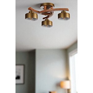 Weston 3 Lü Naturel Metal Başlikli Plofonyer Avi̇ze