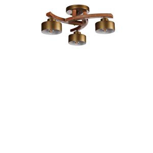 Weston 3 Lü Naturel Metal Başlikli Plofonyer Avi̇ze