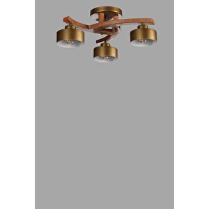 Weston 3 Lü Naturel Metal Başlikli Plofonyer Avi̇ze