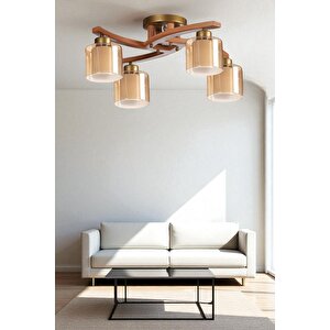 Weston 4 Lü Naturel Çi̇ft Camli Plofonyer Avi̇ze