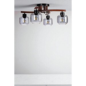 Weston 4 Lü Cevi̇z Füme Camli Plofonyer Avi̇ze