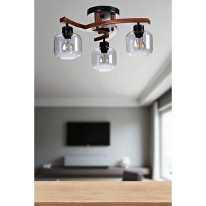 Weston 3 Lü Cevi̇z Füme Camli Plofonyer Avi̇ze