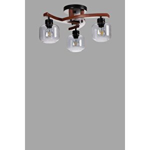 Weston 3 Lü Cevi̇z Füme Camli Plofonyer Avi̇ze