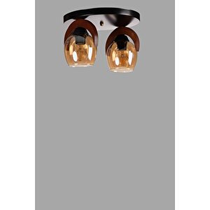 Helena 2 Li̇ Tepsi̇li̇ Bal Camli Plafonyer Avi̇ze