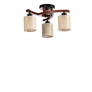 Weston 3 Lü Cevi̇z Petek Abajurlu Plofonyer Avi̇ze