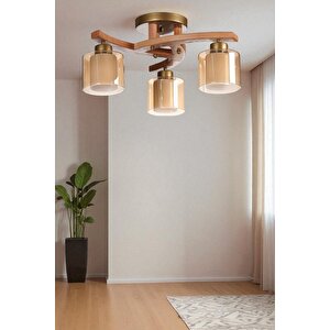 Weston 3 Lü Naturel Çi̇ft Camli Plofonyer Avi̇ze